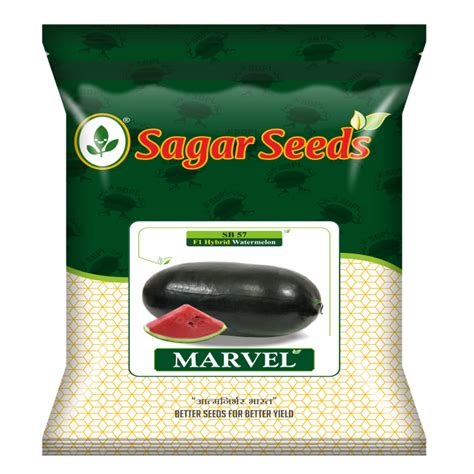 Buy Sagar Marvel F1 Watermelon Seeds (25g) – Sweet & Juicy Hybrid ...