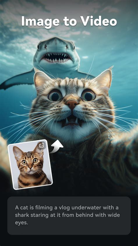 Image result for Filmora Video Editor