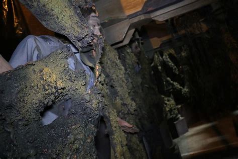 Image result for Alien vs Predator Haunted House