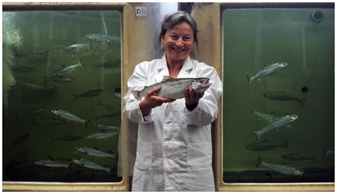 Biology | Special Issue : Current Topics in Fish Immunity