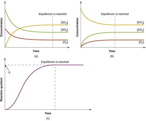 Image result for Dynamic Equilibrium Graph Chemistry