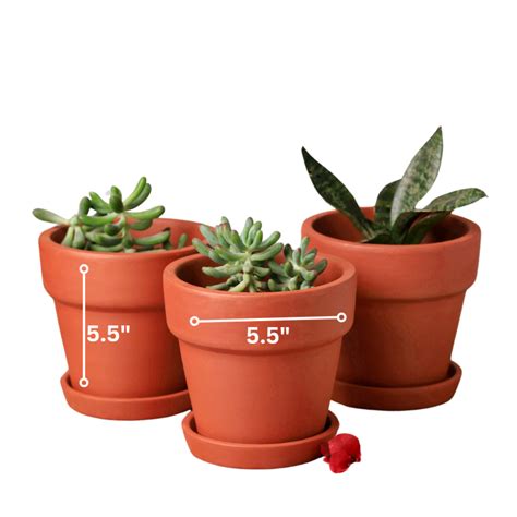 Traditional Terracotta Planters (Set of 4) – Garden Up