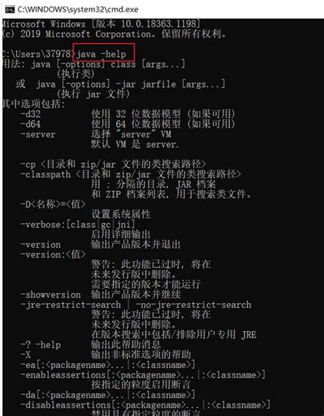 Only One Command Java 1.17.1 的图像结果
