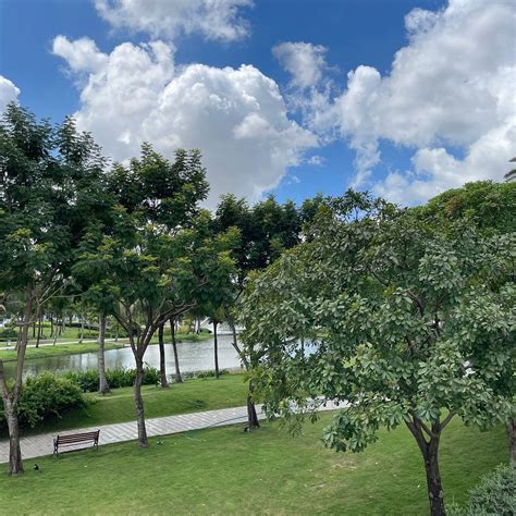 SALA PARK - All You Need to Know BEFORE You Go 2026 (with Photos ...