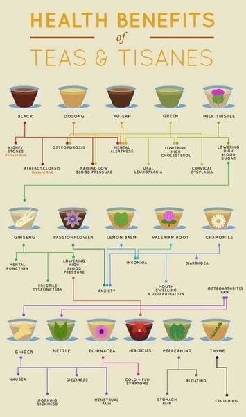 Different Types of Tea - Ultimate Guide