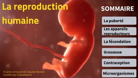 Image result for Reproduction Live Humaine