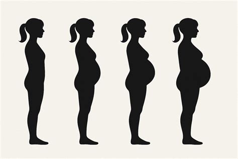 First trimester pregnancy and low back pain: caught off guard ? — The Body Works Clinic