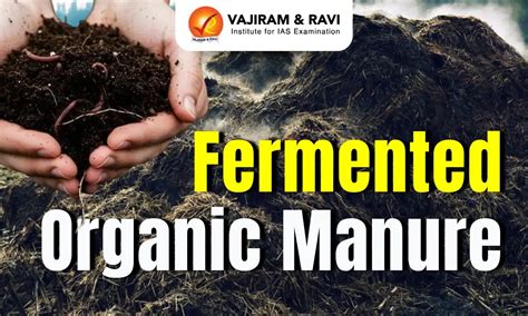 Fermented Organic Manure, Preparation, Benefits, Latest News