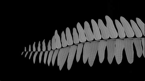 Image result for Plant Animation Tutorial