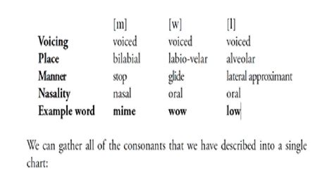 Image result for Phonetics Example