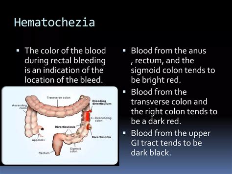 Digestive system terms | PPTX