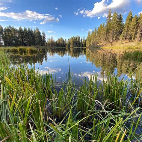 Escape To Serenity: Unpacking New Mexico's Trout Lakes Campground