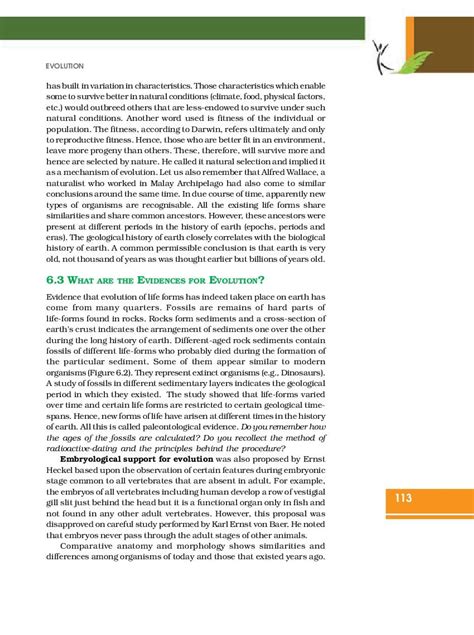 Image result for Class 12 Chapter 6 Evolution