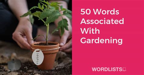 List Of Words With The Prefix "ef"