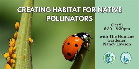 Creating Habitat for Native Pollinators, 8000 Harriet Tubman Ln ...