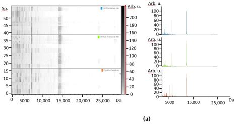 Protein Profile and Simulated Digestive Behavior of Breast Milk from ...