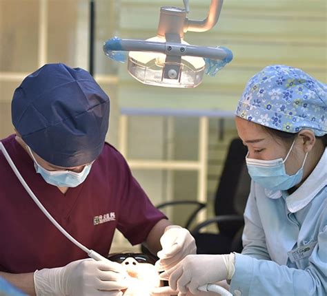 Top Dental Services | Best Dental Clinic in Wakad - Narhare Dental Clinic