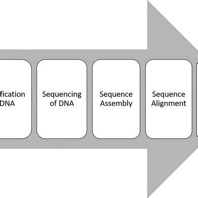 Image result for DNA Barcoding Flow Chart