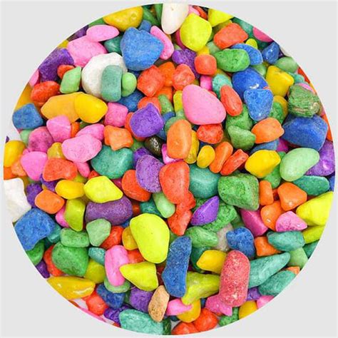 Buy Pebbles online from Nurserylive at lowest price.