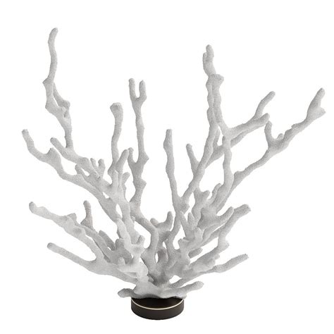 Decor coral 3D model | CGTrader