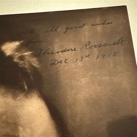 Theodore Roosevelt 的图像结果