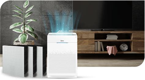 Winix Air Purifier Filters 的图像结果