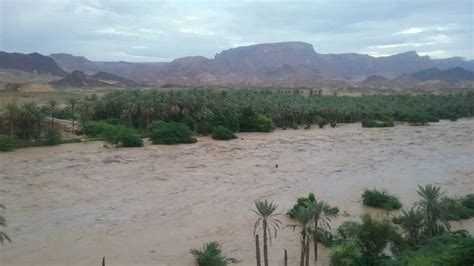Flooding leaves 16 dead, damages homes in Yemen