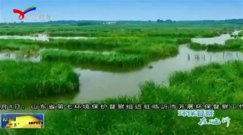 美丽临沂看这里，武河湿地：八年净化出六十个“西湖”！-国际环保在线