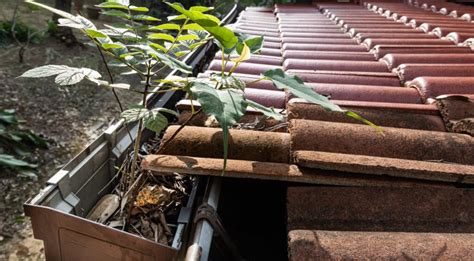 Exploring the Different Gutter Guard Types - NE Seamless