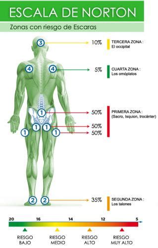 Elige el colchón o cojín adecuado siguiendo los pasos de la escala de ...
