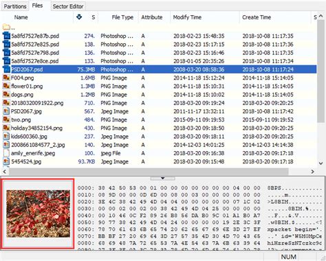 Image result for DiskGenius Recovery