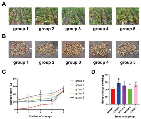 The Induction of Disease Resistance by Scopolamine and the Application ...