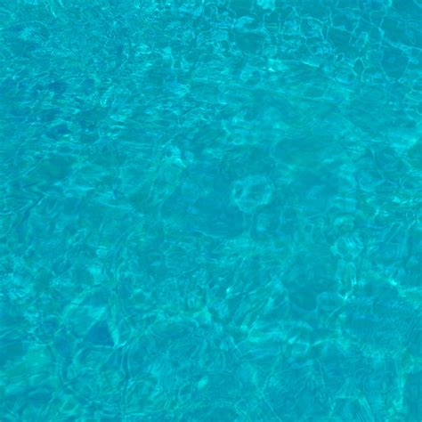 Texture Tree Sea 的图像结果