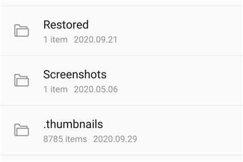 Open DCIM ID File 的图像结果
