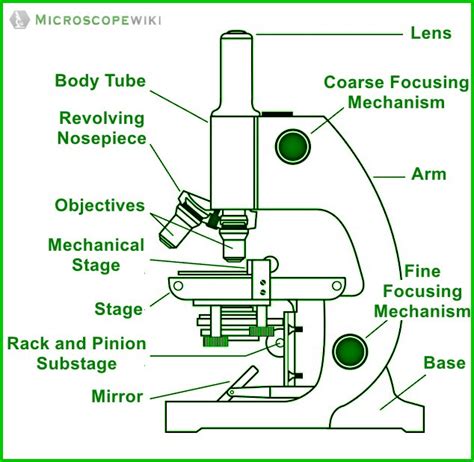 Image result for How to Draw a Microscope