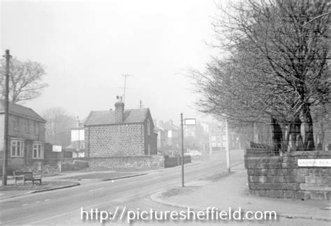 Searching Picture Sheffield