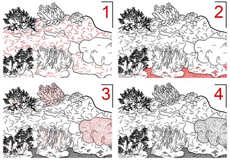 Image result for Draw Coral Reef