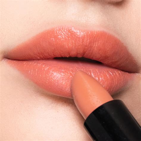 Image result for Lip Color Tutorial