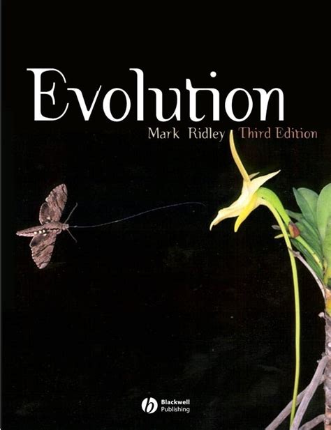 Evolution Book 的图像结果