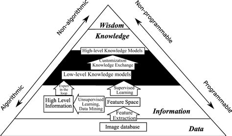 Knowledge Pyramid Army 的图像结果