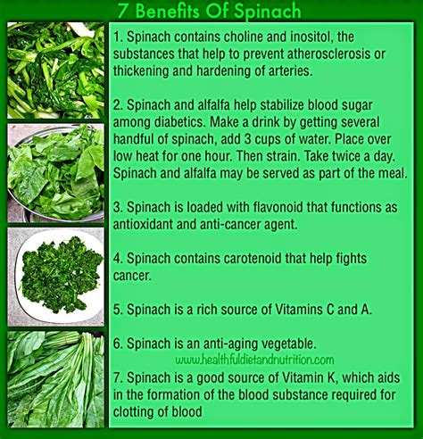 rainbowdiary: 7 Health Benefits Of Spinach