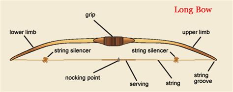 Image result for Bow Types