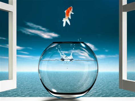 Fear Of Not Knowing : 13.7: Cosmos And Culture : NPR