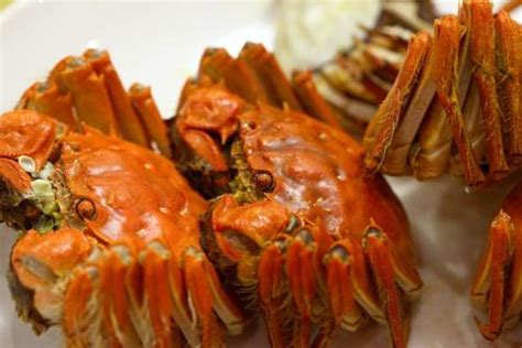 2017年盘锦河蟹市场多少钱一斤？ 盘锦河蟹几月份最肥哪里最正宗