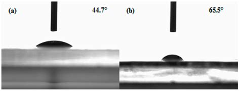 Novel Bacterial Cellulose/Gelatin Hydrogels as 3D Scaffolds for Tumor ...