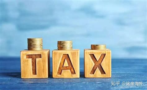 外籍人员个人所得税扣除标准（中国2022年外国人所得税新政策）-秒懂财税