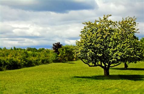Country Scenery 的图像结果