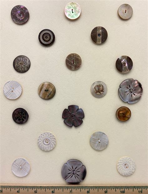 Image result for Deluxe Shell Buttons