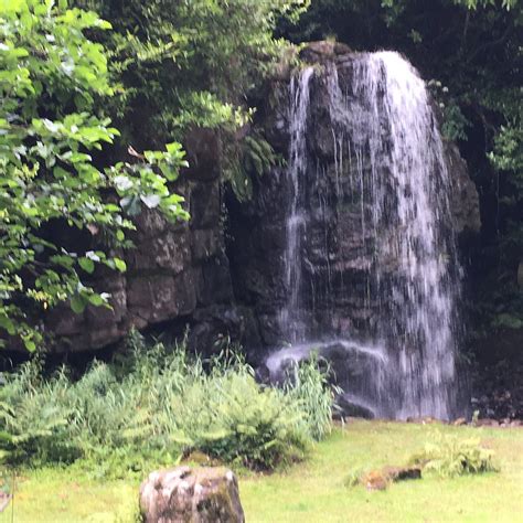 KILFANE WATERFALL AND GLEN (2026) All You Need to Know BEFORE You Go ...