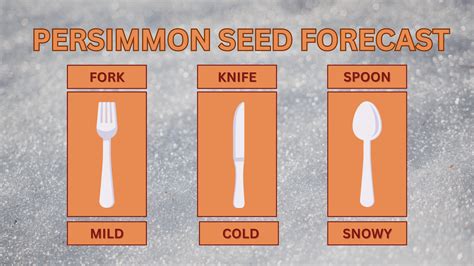 Persimmon seed forecast for the Ozarks